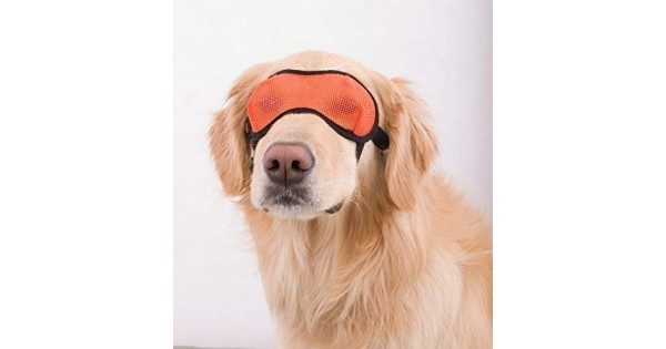 Dog eye clearance goggles